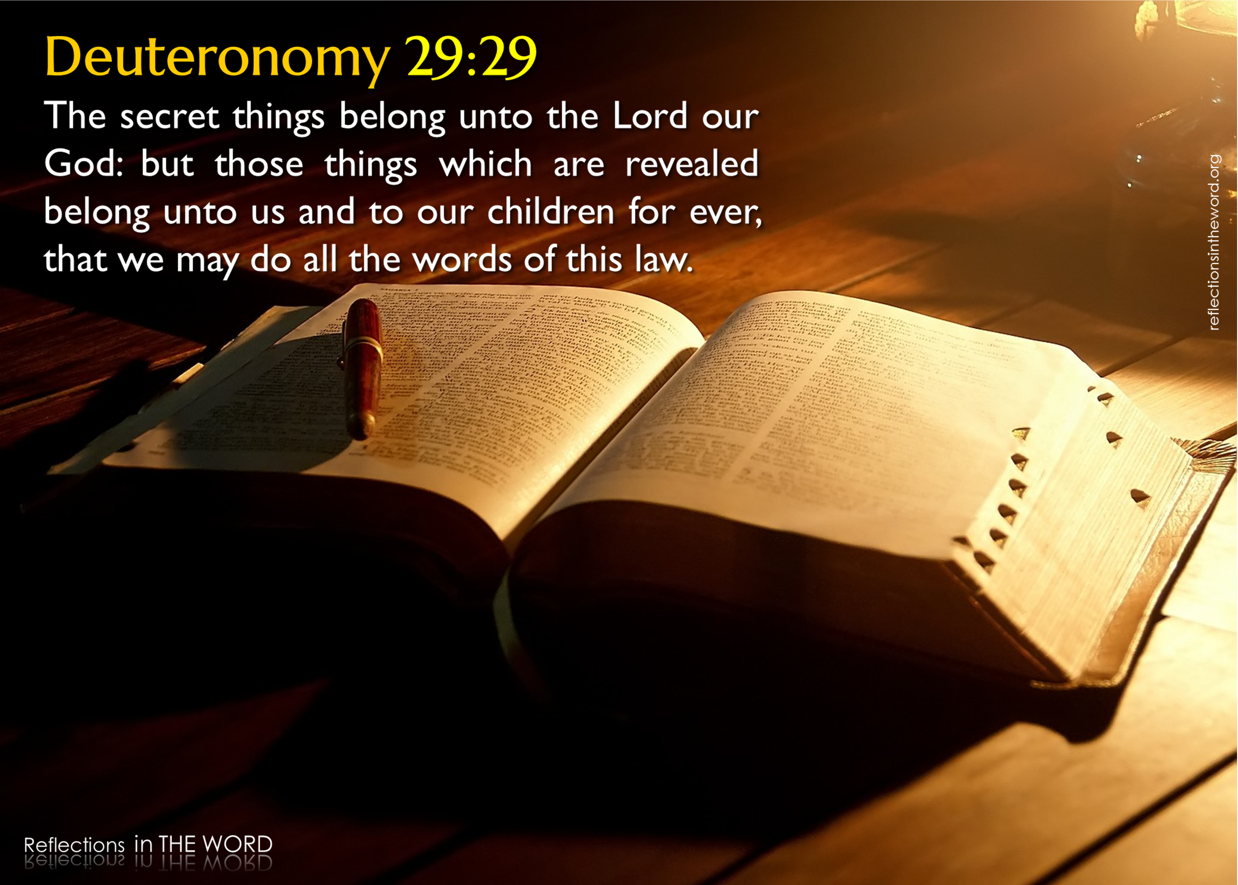 Deuteronomy 29-29 | Reflections in The WORD